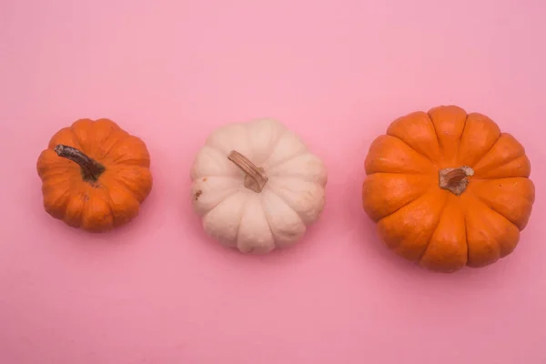 Dýně Podzimní Vaření Potravin — Stock fotografie