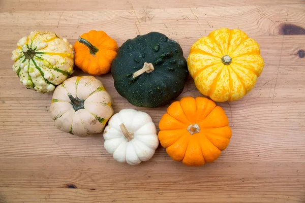 かぼちゃ 秋の料理 — ストック写真