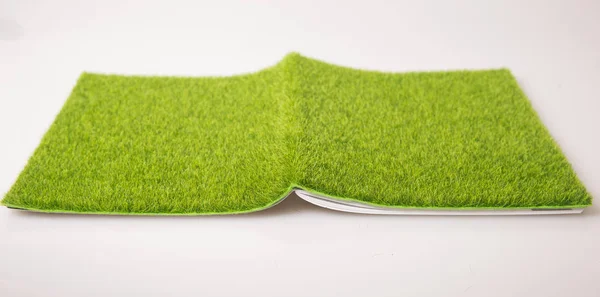 Green Book Green Concept — Stock Photo, Image