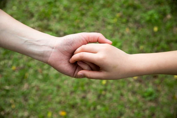 成人和孩子的手在绿色公园背景 图库照片