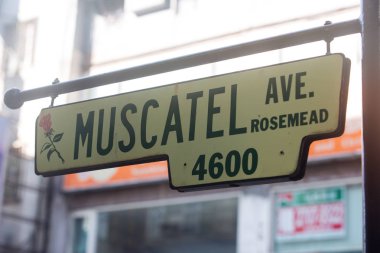 arka plan kopya alanı, renkli görüntü ile