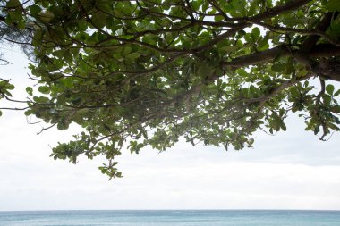 arka plan kopya alanı, renkli görüntü ile