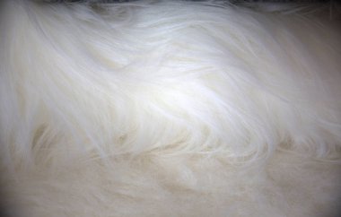 kürk yakın up/hayvan kürk yakın çekim