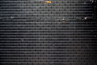 arka plan kopya alanı, renkli görüntü ile