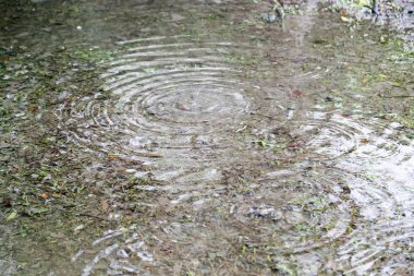 Doğa arka plan kopya alanı, renkli görüntü ile