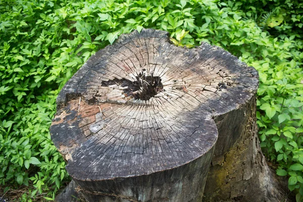 Hintergrund Mit Kopierraum Farbbild — Stockfoto