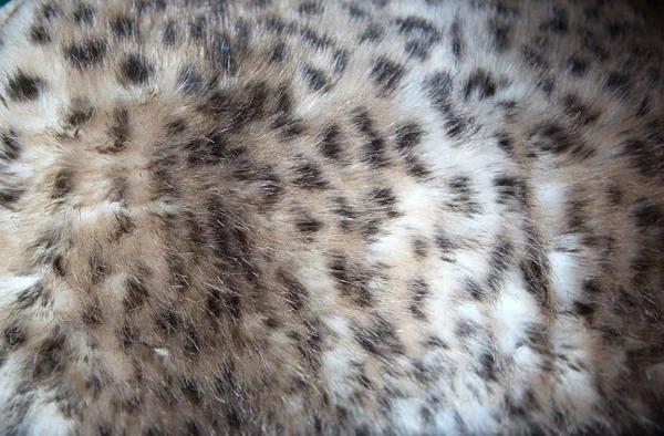 Fur Close Animal Fur Close — стоковое фото