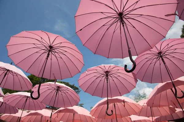 Pink Umbrella Blue Sky — Stock Photo, Image