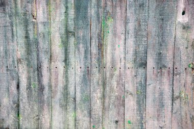 arka plan kopya alanı, renkli görüntü ile