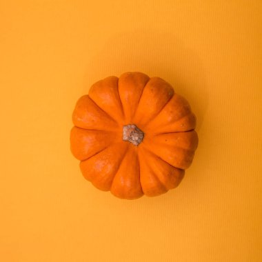 kabak, sonbahar yemek yemek