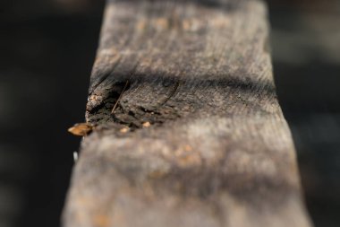 Eski ahşap dokuyu kapat