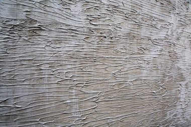 arka plan kopya alanı, renkli görüntü ile