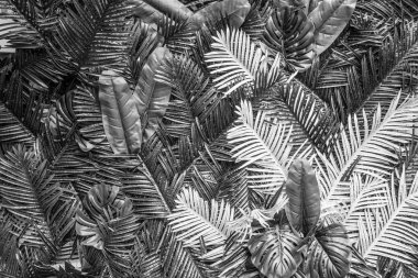 arka plan kopya alanı, renkli görüntü ile