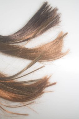 kopya alanı ile beyaz arka plan üzerinde saç yakın çekim