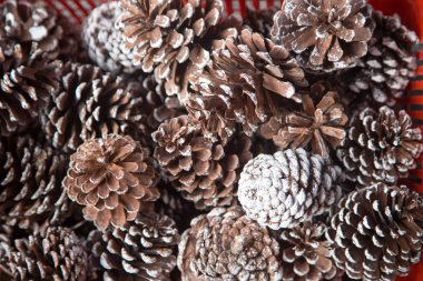 arka plan kopya alanı, renkli görüntü ile