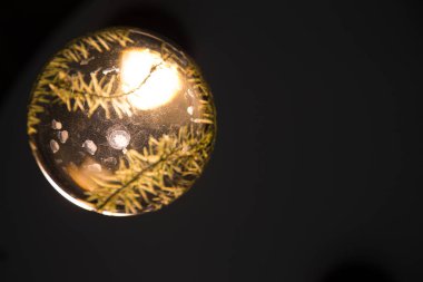 Doğa arka plan kopya alanı, renkli görüntü ile