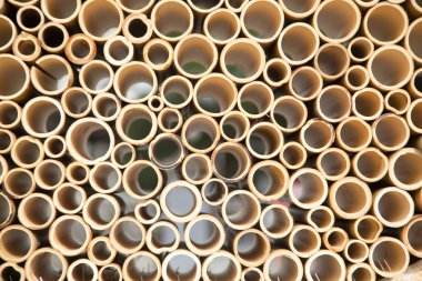 Kopyalama alanı olan tahta arkaplan