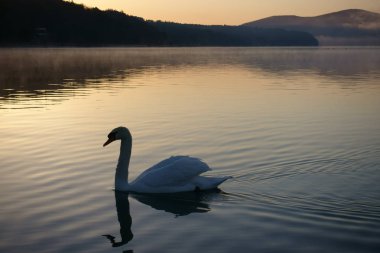 arka plan kopya alanı, renkli görüntü ile
