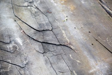 Eski ahşap dokuyu kapat