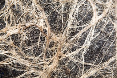 arka plan kopya alanı, renkli görüntü ile