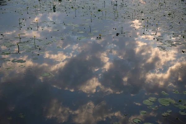 Natuur Achtergrond Met Kopie Ruimte Kleurenafbeelding — Stockfoto