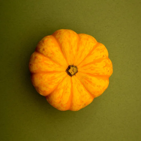 Kürbis Herbstliches Kochen — Stockfoto