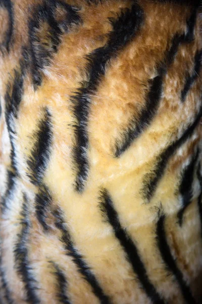 Fur Close Animal Fur Close — Stock Photo, Image