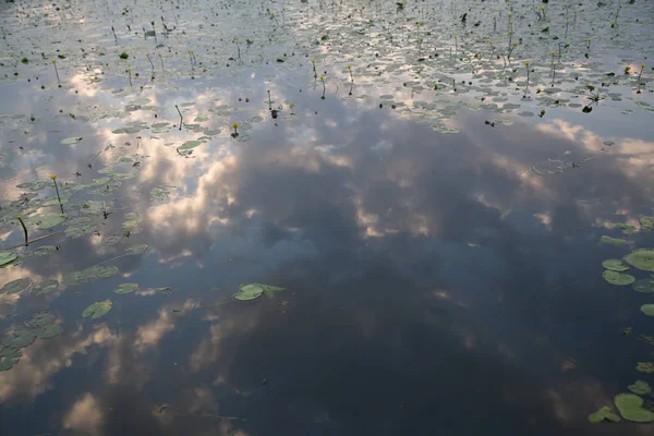 Natuur Achtergrond Met Kopie Ruimte Kleurenafbeelding — Stockfoto