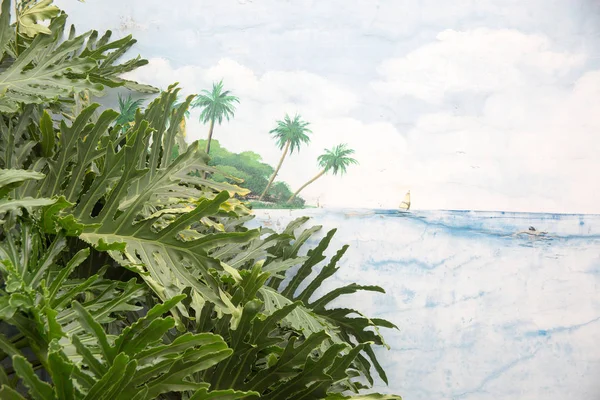 海岛植物和墙壁 — 图库照片