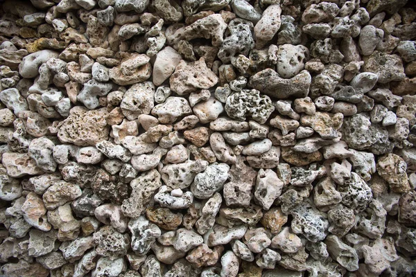 Riffwand Aus Nächster Nähe Hintergrund Der Natur — Stockfoto