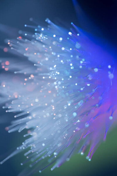 multicolor fiber optics with copy space