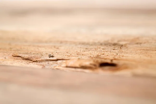 Prázdný Dřevěný Stůl Pro Umístění Produktu — Stock fotografie