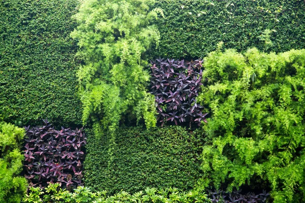 Tle Natura Kopii Przestrzeni Odkryty Obraz Kolorowy — Zdjęcie stockowe