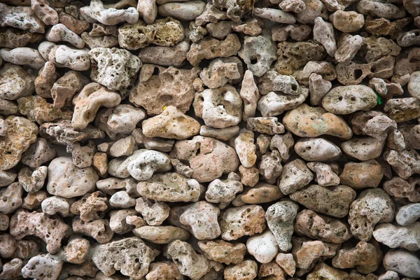 Rev Väggen Nära Upp Natur Bakgrund — Stockfoto