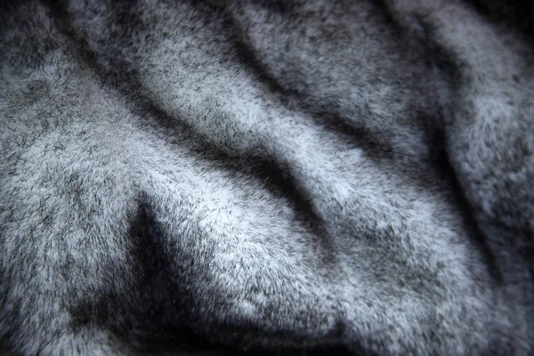 Fur Close Animal Fur Close — Stock Photo, Image