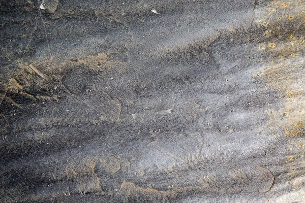 Textura Roca Real Con Espacio Copia — Foto de Stock