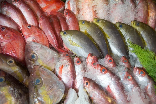 Рыба Рынок Морепродуктов — стоковое фото