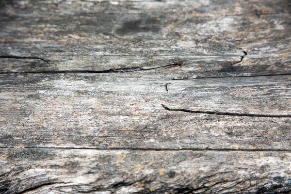 Sfondo Legno Con Spazio Copia — Foto Stock