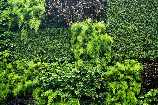 Natur Hintergrund Mit Kopierraum Farbe Outdoor Bild — Stockfoto
