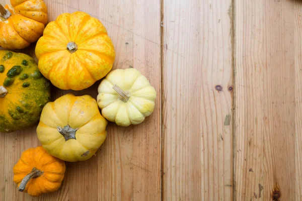 soğan ve patates kabak