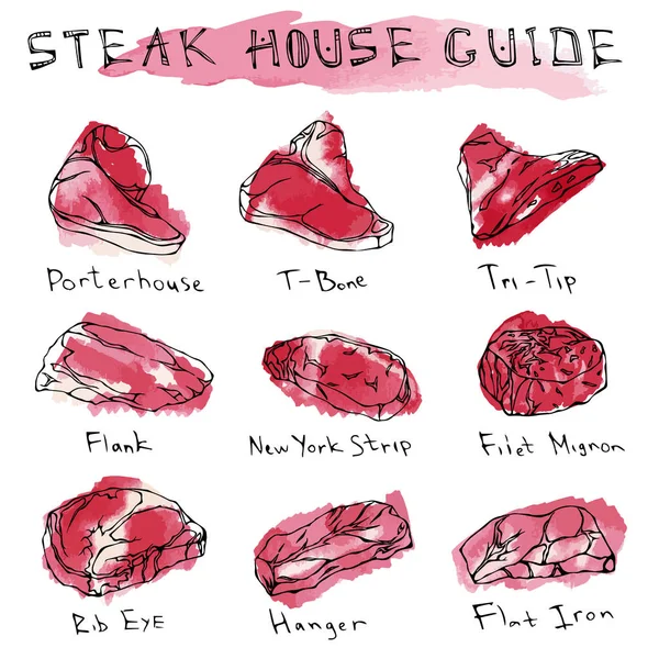 인기있는 스테이크 타입을 컵이야 Meat Guide Butcher Shop Steak House — 스톡 벡터