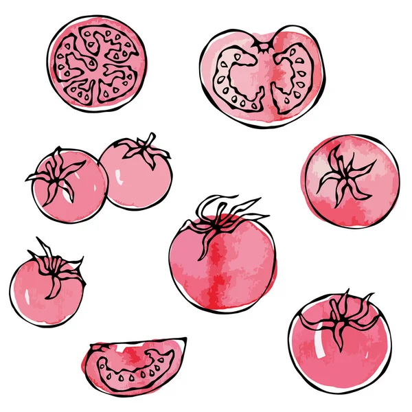 Akvarell Hela Tomater Tomatskivor Hälften Tomater Och Körsbärstomater Färska Mogna — Stock vektor