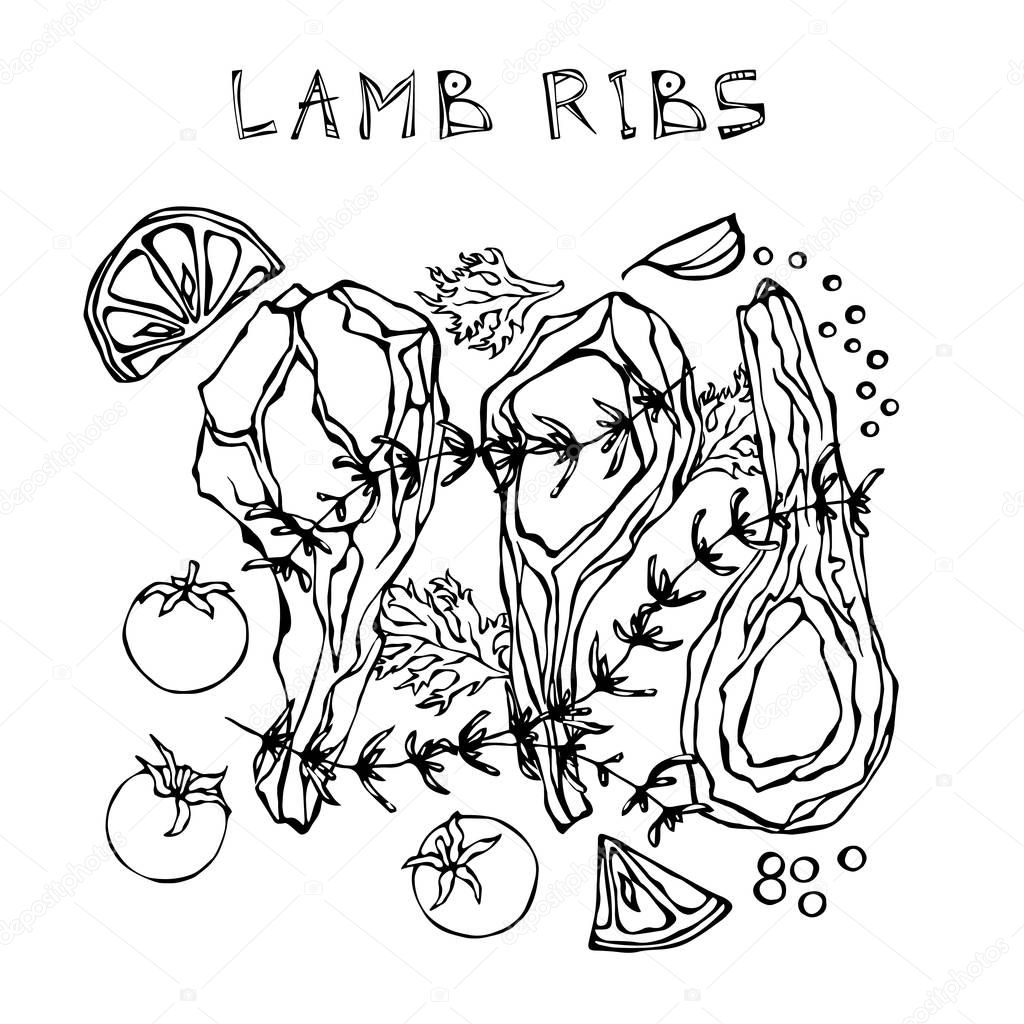 Lamb Ribs Chops with Herbs, Lemon, Tomato, Parsley, Thyme, Pepper. Meat Guide for Butcher Shop or Steak House Restaurant Menu. Hand Drawn Illustration. Doodle Style
