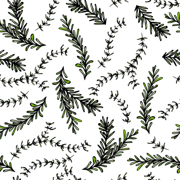 Rosemary Thyme Seamless Endless Vector Background Ervas Verdes Frescas Para —  Vetores de Stock