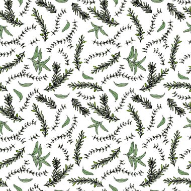Biberiye Şubesi ve Adaçayı 'nın kusursuz sonsuz deseni. Aromatic Healing Herb 'ün geçmişi. Biftek Baharatı. El Çizimi İllüstrasyonu. Savoyar Doodle Biçimi