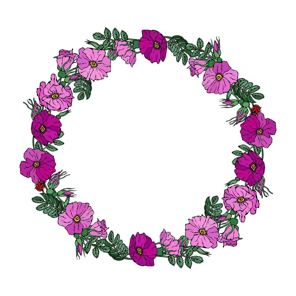 Marco Redondo Con Rosas Silvestres Flores Verano Tarjeta Felicitación Fondo — Vector de stock