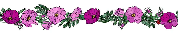 Ατελείωτα Σύνορα Βούρτσα Άγρια Τριαντάφυλλα Καλοκαιρινά Λουλούδια Ευχετήρια Κάρτα Φόντο — Διανυσματικό Αρχείο