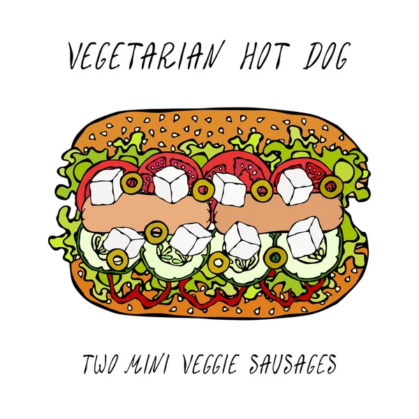 Vegetarische hotdog, Veggie worstjes, Griekse Feta, komkommer, Belle peper, tomaat, olijfolie, sla salade, sesamzaad. Fast Food. Realistische Hand Drawn hoge kwaliteit vectorillustratie. Doodle stijl. — Stockvector