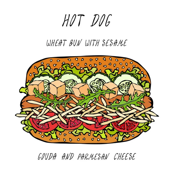 Hot Dog op een tarwe-broodje met sesamzaad, Gouda en Chedder kaas, tomaat, sla salade. Fast Food-collectie. Realistische Hand Drawn hoge kwaliteit vectorillustratie. Doodle stijl. — Stockvector