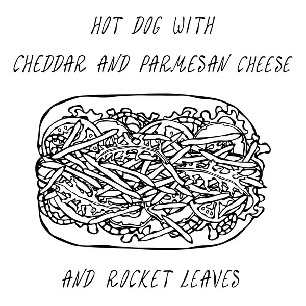Hot Dog Met Cheddar Parmezaanse Kaas Raket Sla Salade Tomaat — Stockvector